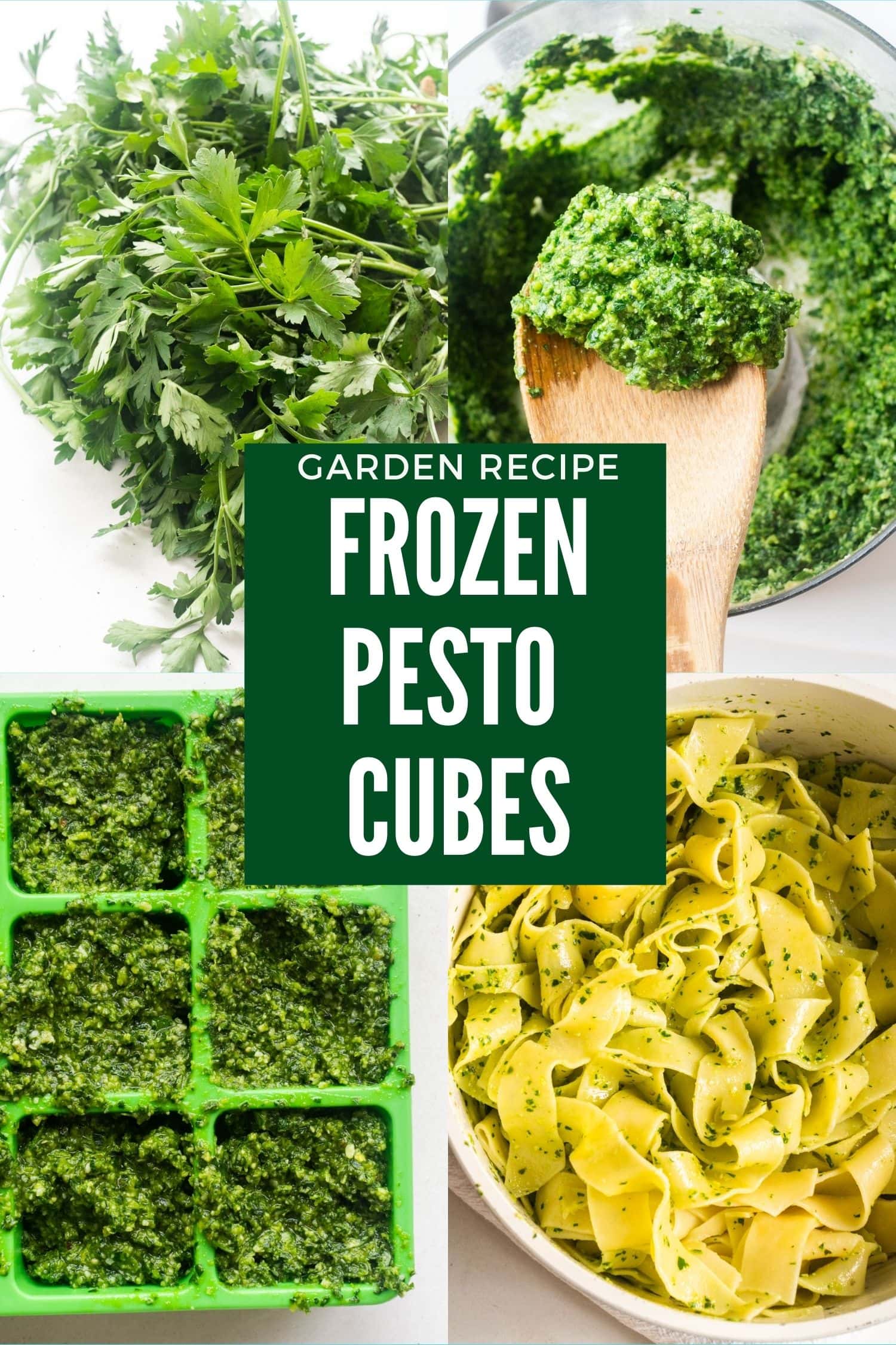 Frozen Pesto Cubes Brooklyn Farm Girl