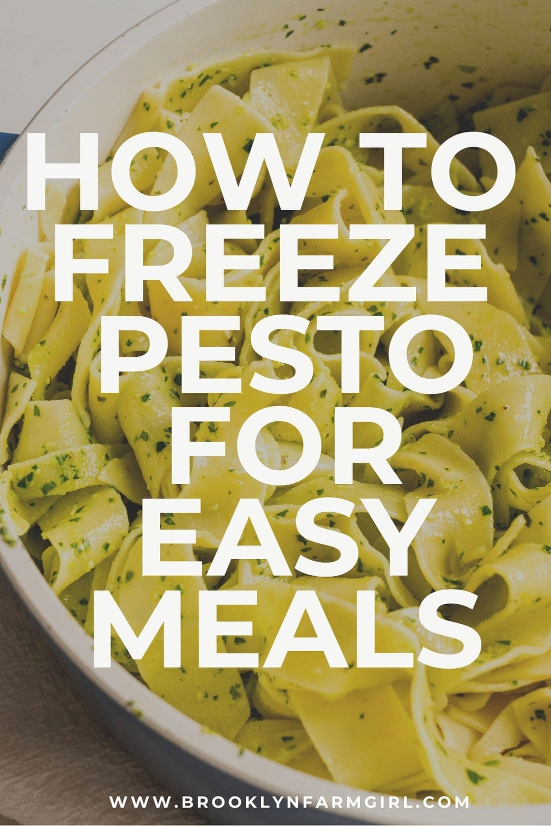 Frozen Pesto Cubes Brooklyn Farm Girl