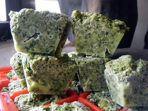 frozen pesto cubes
