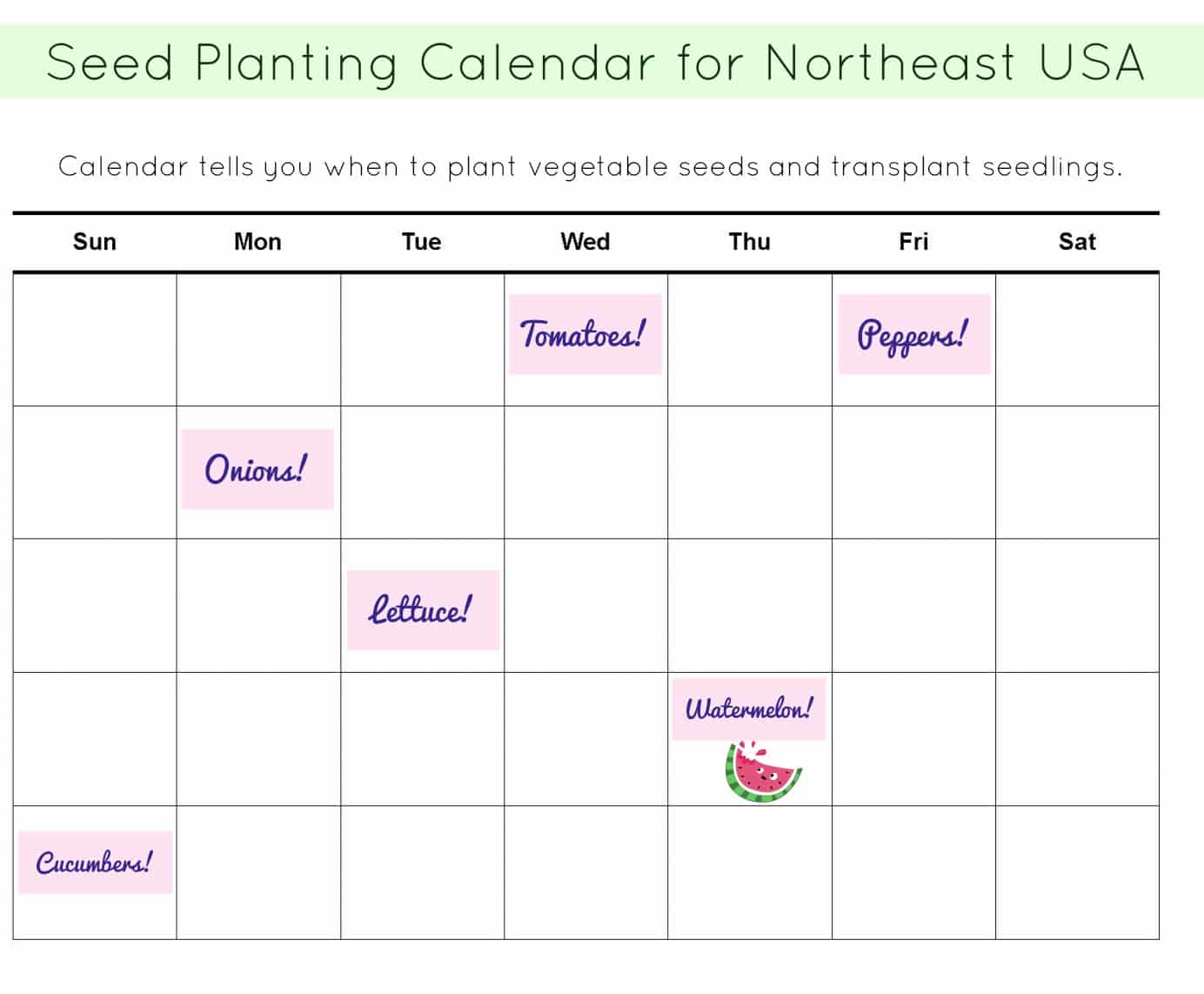 Seed Calendar for New York Brooklyn Farm Girl