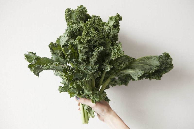 A hand holding a bunch of fresh curly kale leaves against a plain white background.