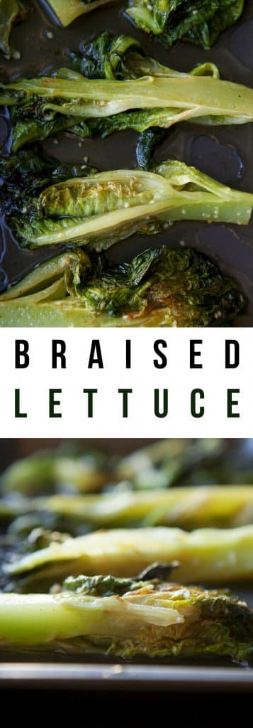 You'll start to love lettuce once you make this Braised Lettuce recipe! Braising consists of lightly frying, and then simmering like a stew for full flavor!