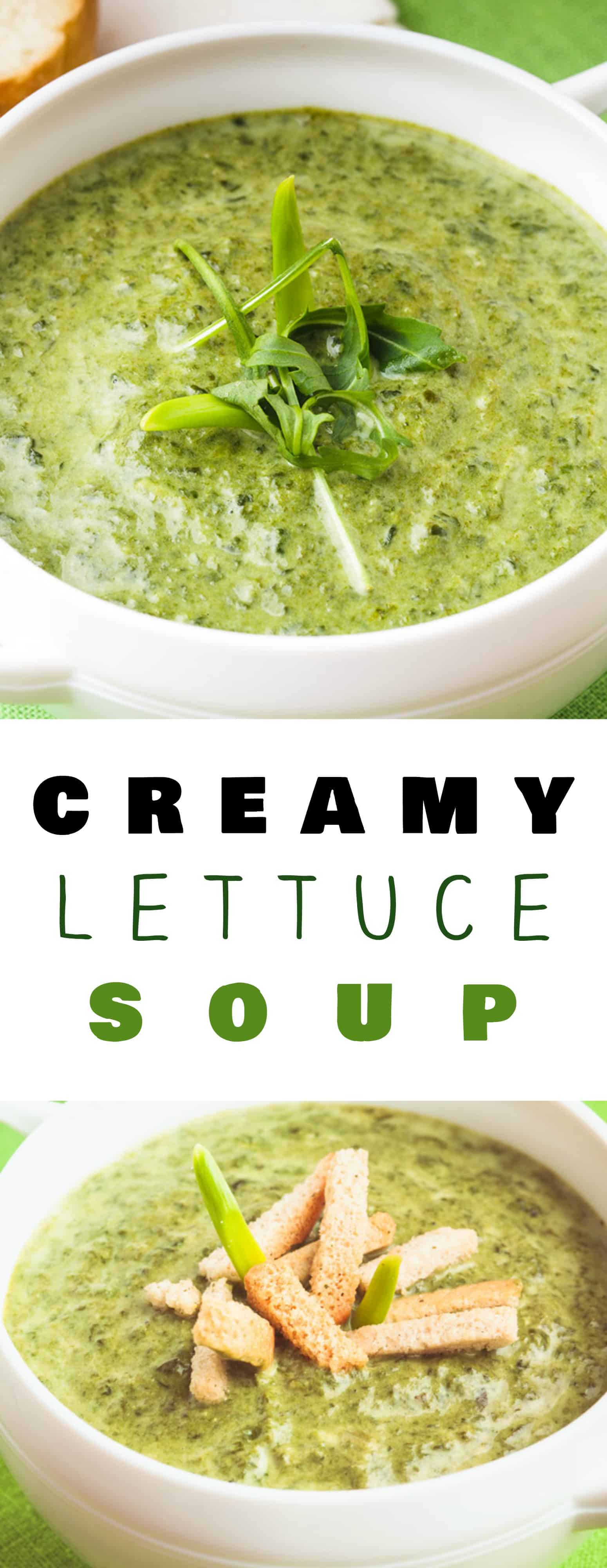 Creamy Lettuce Soup is a delicious, healthy recipe that uses 1 head of lettuce. Combined with heavy cream, chicken broth and spices, this is a great way to add lettuce to your diet! I love using Bibb lettuce in this recipe but Romaine and Iceberg work good too! Who knew cooked lettuce could taste so yummy for dinner - even kids love it!
