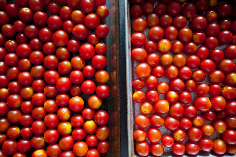 2 roasting pans filled with cherry tomatoes