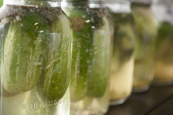 Pickled Cucamelons (Sour Gherkins): Easy Refrigerator Pickles