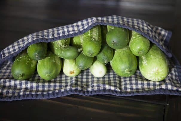 The BEST Half Sour Pickles recipe there is!  These easy homemade pickles taste just like New York Crunchy pickles.  No canning is needed to make these delicious pickles, just throw them in the refrigerator for a few days!   Make them to find out why they're so popular!