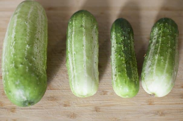 The BEST Half Sour Pickles recipe there is!  These easy homemade pickles taste just like New York Crunchy pickles.  No canning is needed to make these delicious pickles, just throw them in the refrigerator for a few days!   Make them to find out why they're so popular!