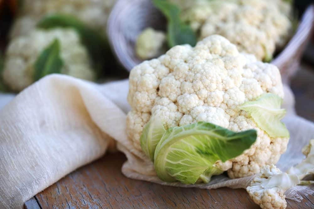 head of cauliflower