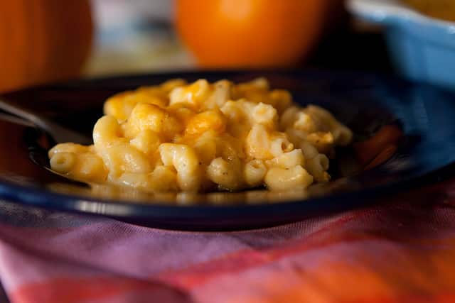 Homemade mac and cheese recipe with creamy pumpkin pasta sauce is the best comfort food. It’s so easy to make! This cheesy pumpkin mac and cheese recipe uses 1 cup pumpkin purée and 2 cups shredded cheddar cheese. It turns out so delicious, ultra creamy, and flavorful - my favorite homemade macaroni and cheese recipe for fall!