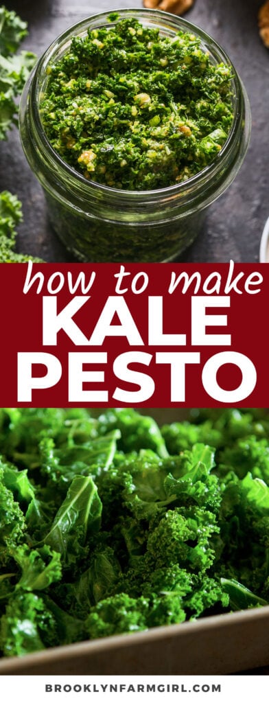 This Kale Pesto recipe swaps the basil leaves for fresh kale to make a healthy and vegan dipping sauce, pasta topping or spread. This is a great recipe when you have lots of kale to use!