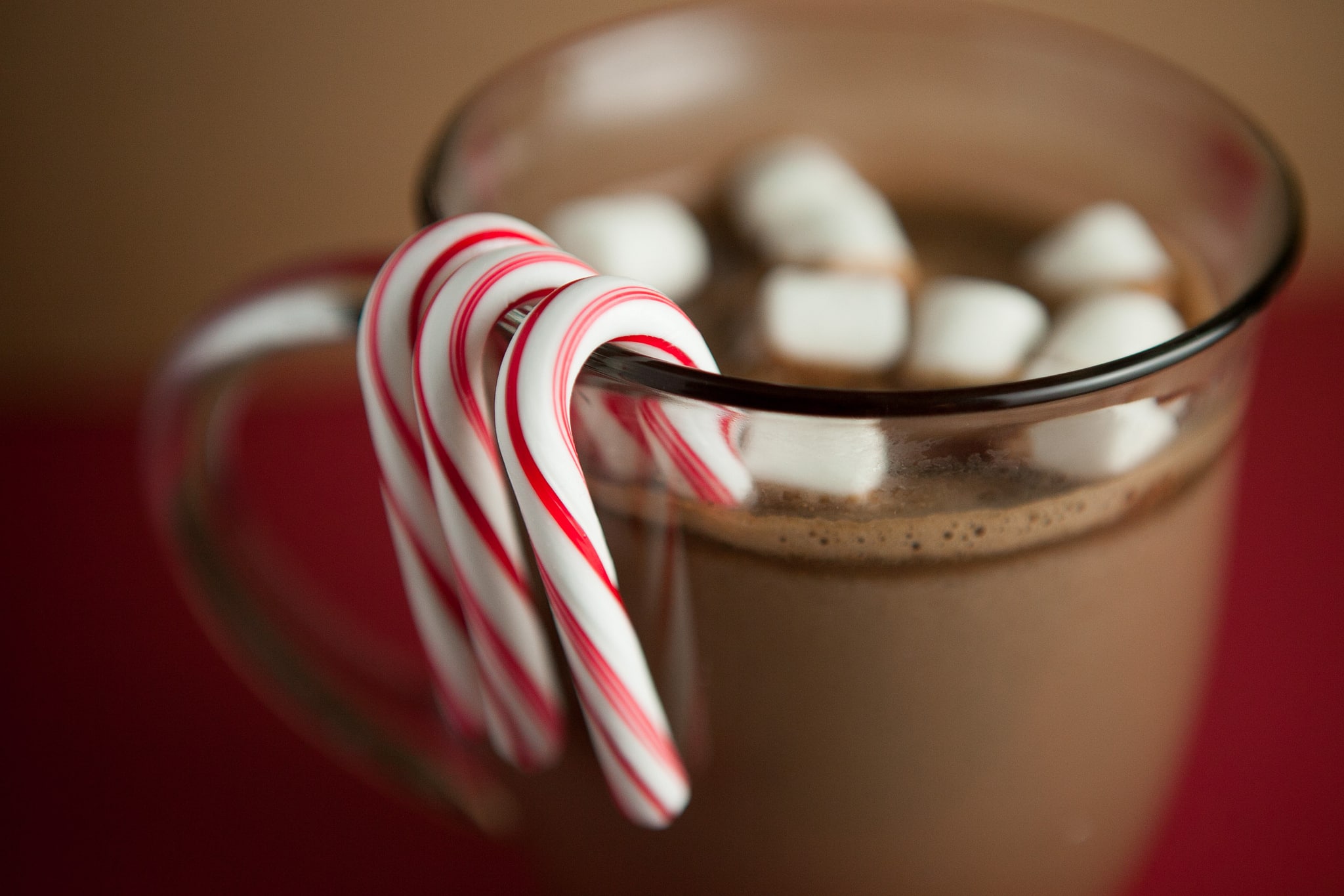 Creamy Peppermint Hot Chocolate recipe for 2! This recipe uses milk, peppermint mocha, chocolate chips, cocoa powder and more!