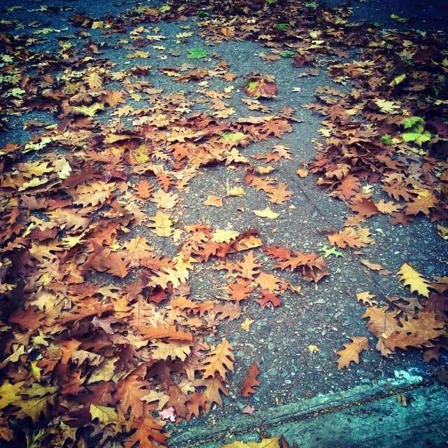 Fall.