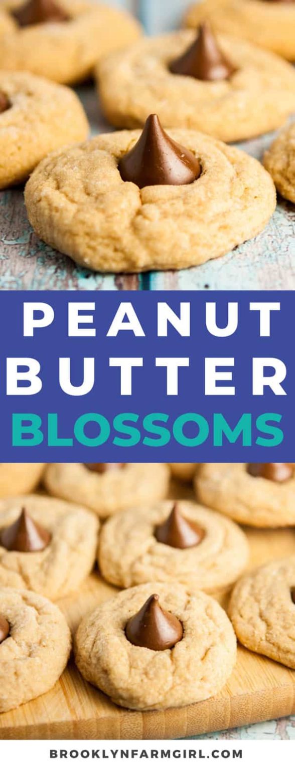 Best Peanut Butter Blossoms Cookies Brooklyn Farm Girl