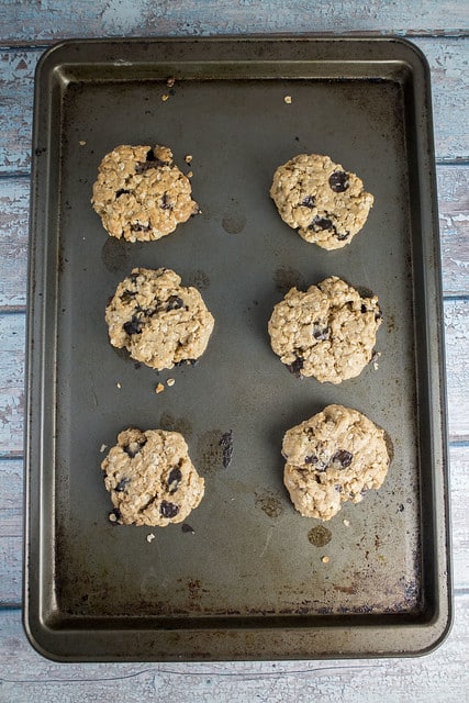 Delicious Dairy Free Oatmeal Peanut Butter Cookies made with vegan butter and vegan chocolate chips!
