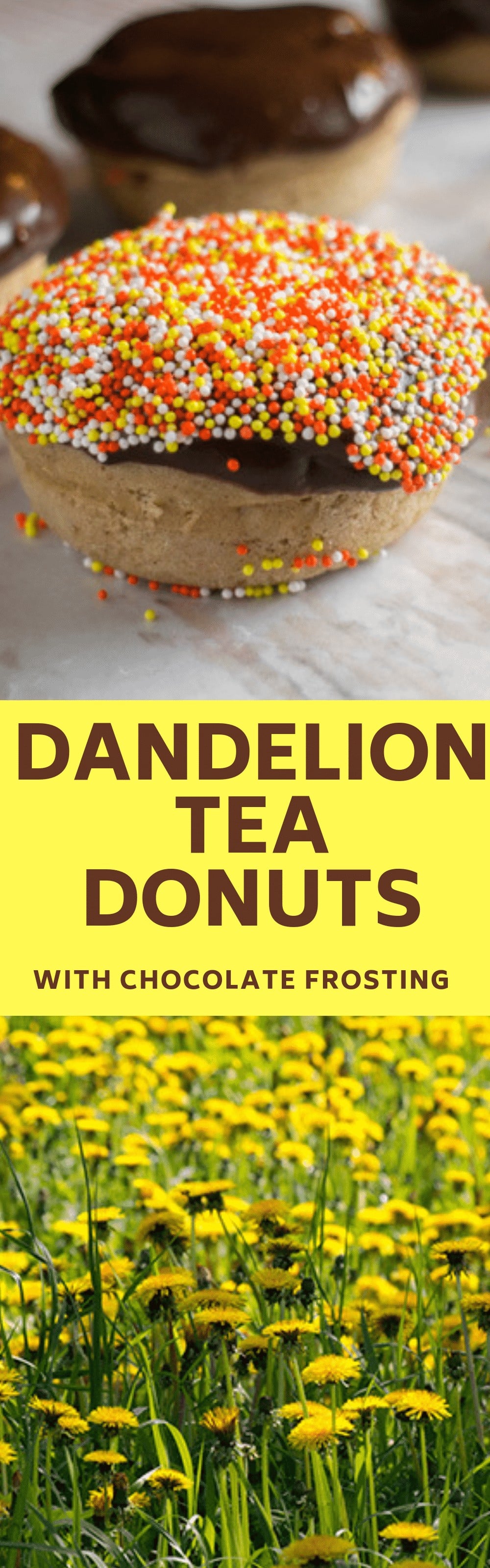 Dandelion Tea Donuts With Chocolate Frosting recipe.  Dandelion tea is filled with healthy benefits so enjoy these donuts for breakfast or dessert.  Includes a dairy free donut recipe too. 