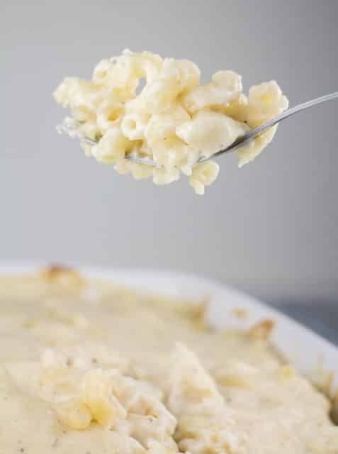 Italian Cooking Pasta al Gratin_9