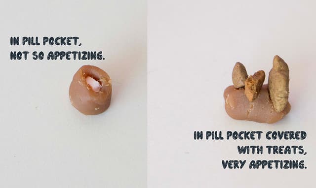 Here's the 4 ways I give my cat a pill all by myself - without bleeding or crying! There's a different way for every personality, even difficult cats!