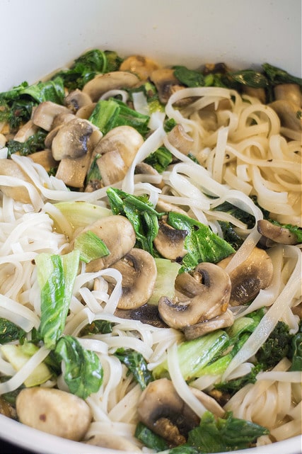 CHINESE Bok Choy and Mushroom Noodles is DELICIOUS! This healthy recipe is made in 15 minutes and makes Asian cooking easy! These noodles are vegetarian, spicy and simple! We love this dinner in our house!