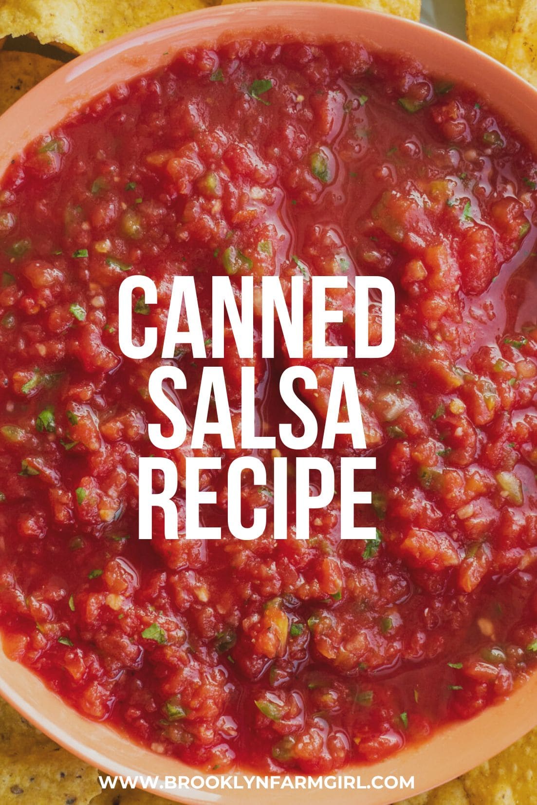 canned-salsa-easy-recipe-made-with-canned-tomatoes