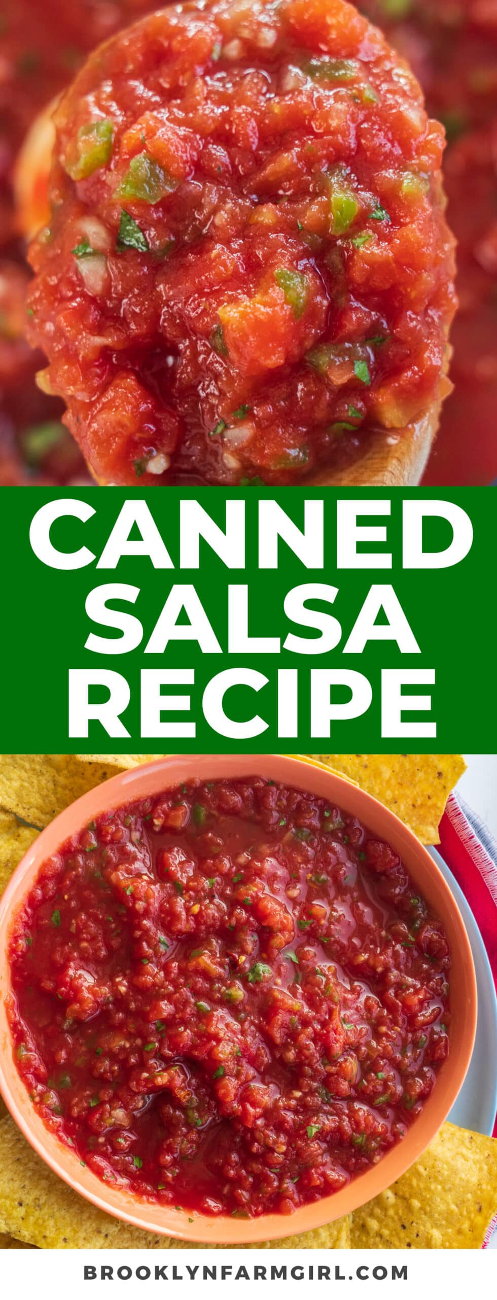 Canned Salsa - Easy Recipe Made With Canned Tomatoes