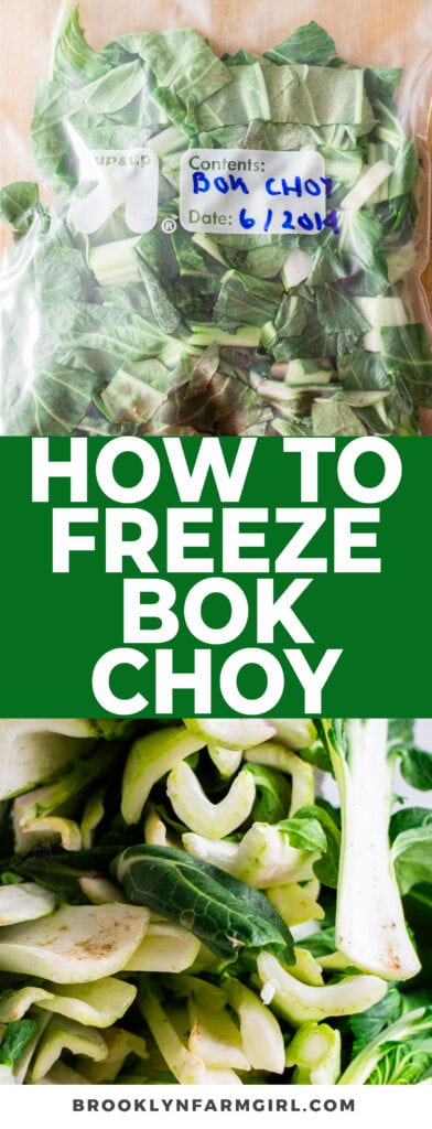 Easy step by step instructions on how to freeze bok choy without it turning mushy. This no blanching method is great for keeping bok choy crisp for stir fries and soups.