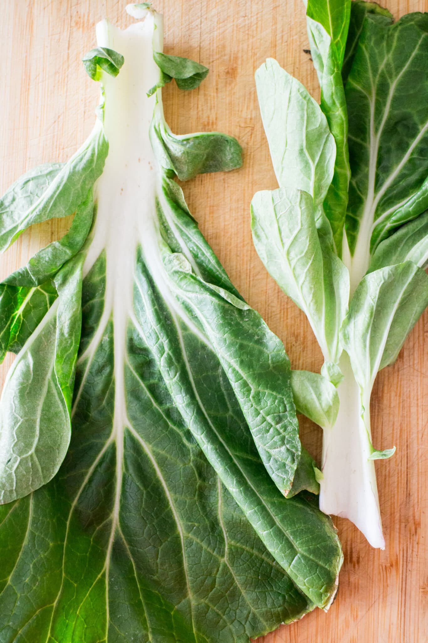 How to Freeze Bok Choy Without It Turning Mushy! Brooklyn Farm Girl