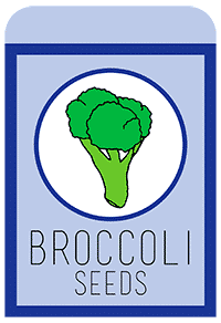 03-broccoli