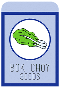 08-bokchoy