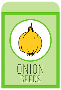 09-onion