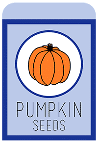 10-pumpkin