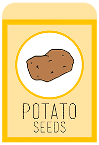 11-potato