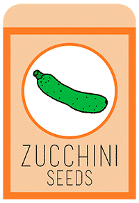 12-zucchini