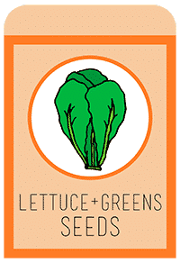 15-lettuce-(2)