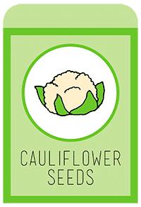 16-cauliflower