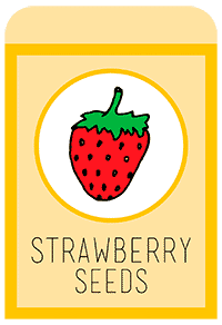 17-strawberry