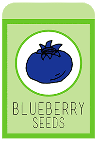 19-blueberry