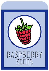20-raspberry