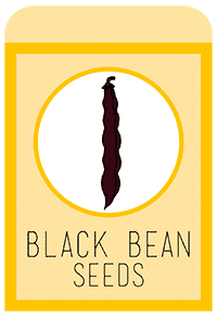 22-blackbean