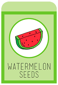 24-watermelon