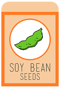 28-soybean