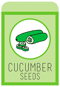 29-cucumber