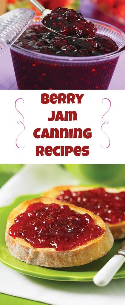 Canning recipes for Sour Cherry Jam, Bumbleberry Jam and Raspberry and Plum Jams. 