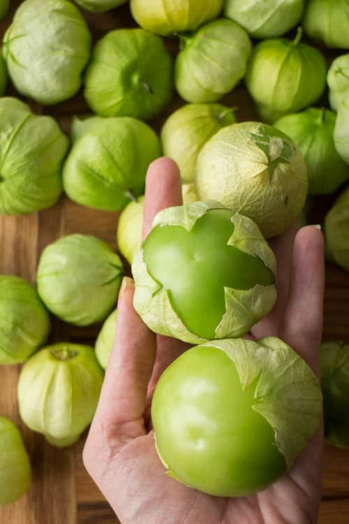 The best Salsa Verde recipe using fresh tomatillos and onions. This recipe is easy to make and freezes great too!