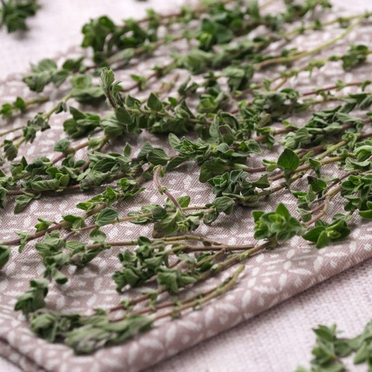 How to Dry Oregano in 1 Hour Easy Oven Drying Method