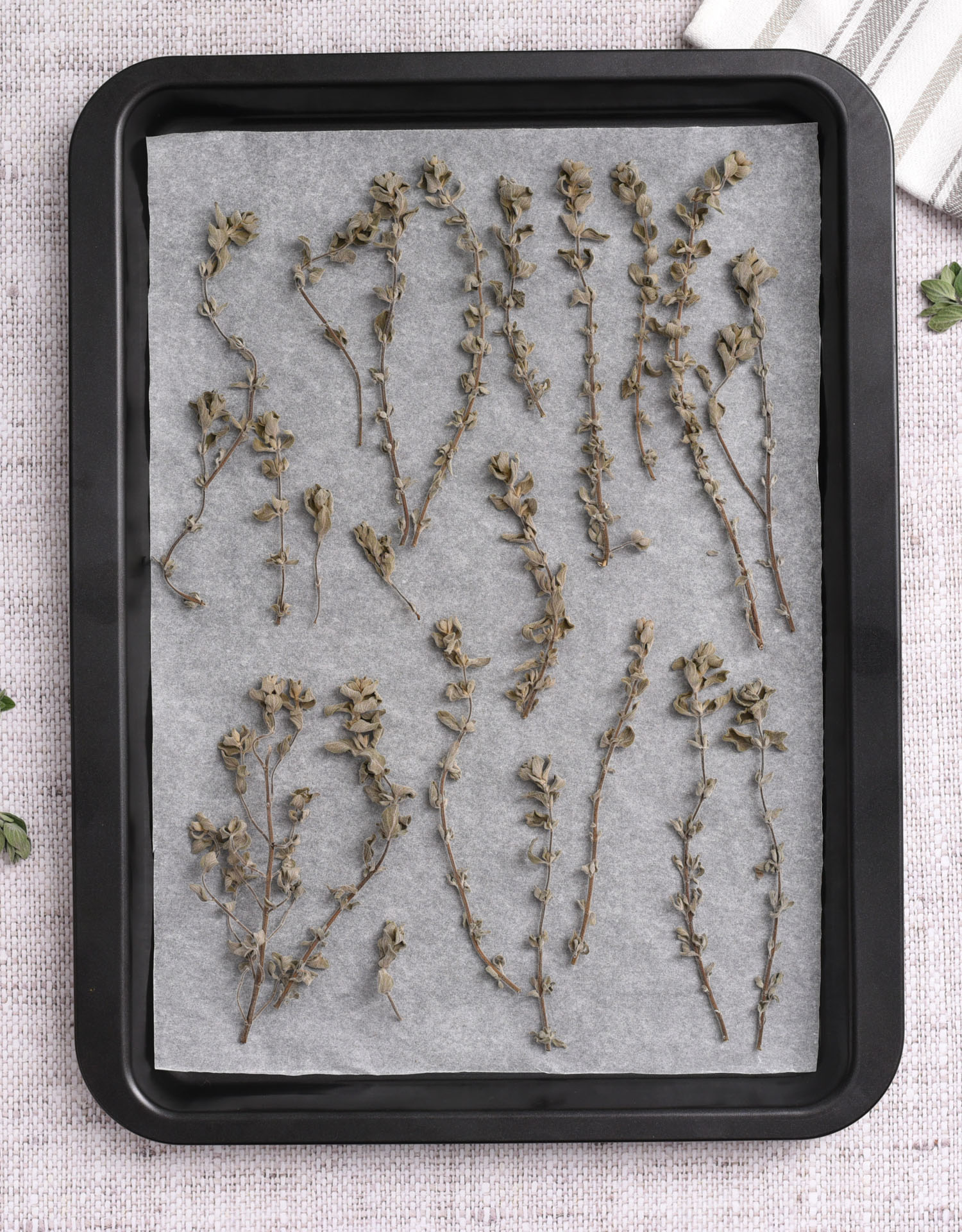 How to Dry Oregano in 1 Hour Easy Oven Drying Method