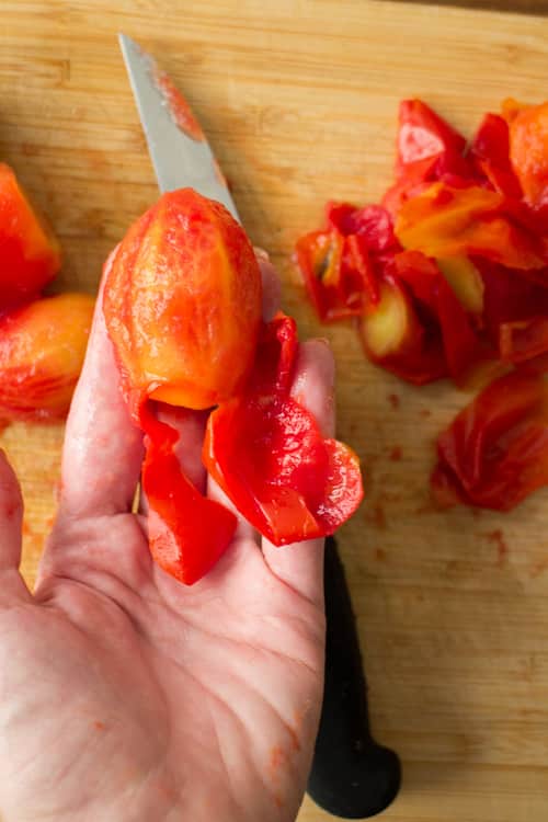 Easy step by step instructions with pictures on how to make diced tomatoes from fresh tomatoes. Steps walk you through the beginning all the way up to freezing them. This is a great way to preserve garden tomatoes if you're picking a lot of them!