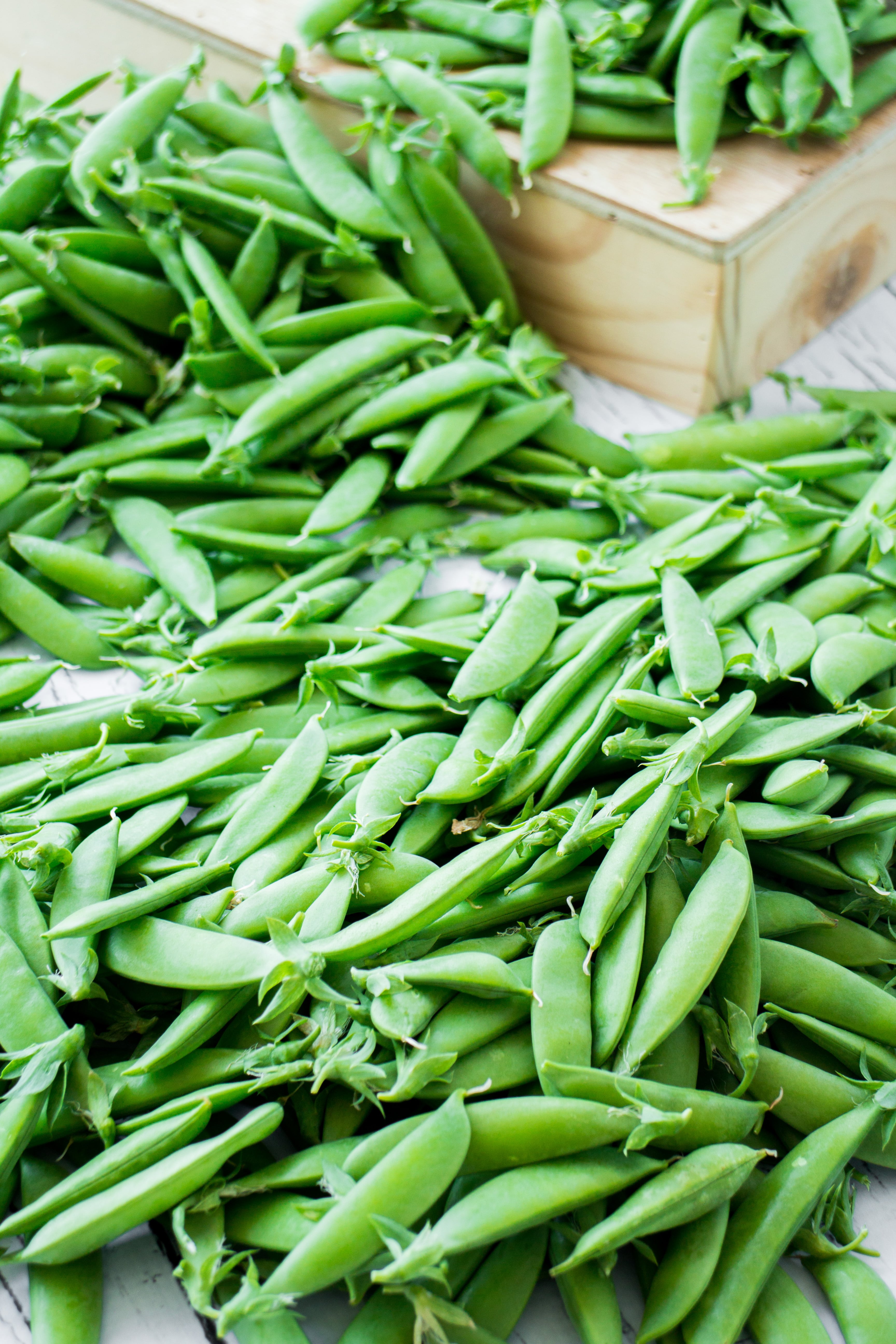 Sugar Snap Peas In Pots