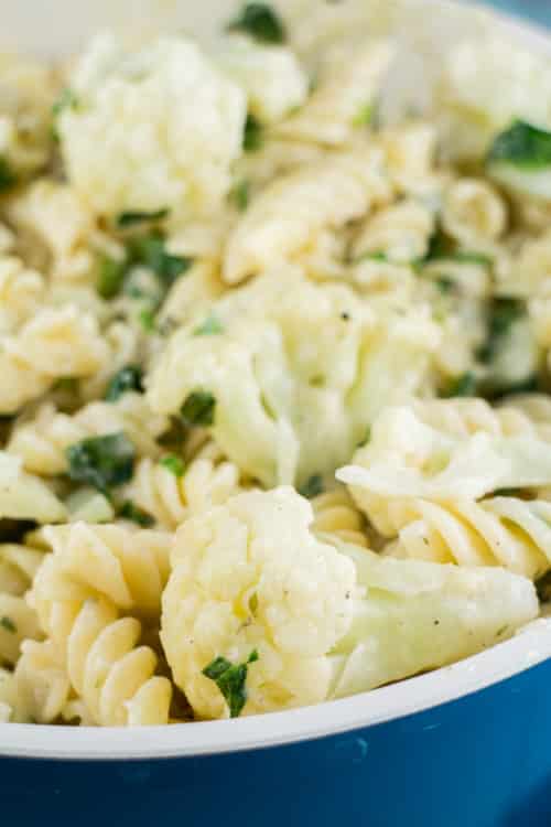 This recipe for pasta with cauliflower is a simple, satisfying dish! Rotini pasta noodles are tossed in a creamy parmesan cheese sauce with steamed cauliflower and lettuce. A quick, easy and delicious dinner that’s perfect for busy weeknights!