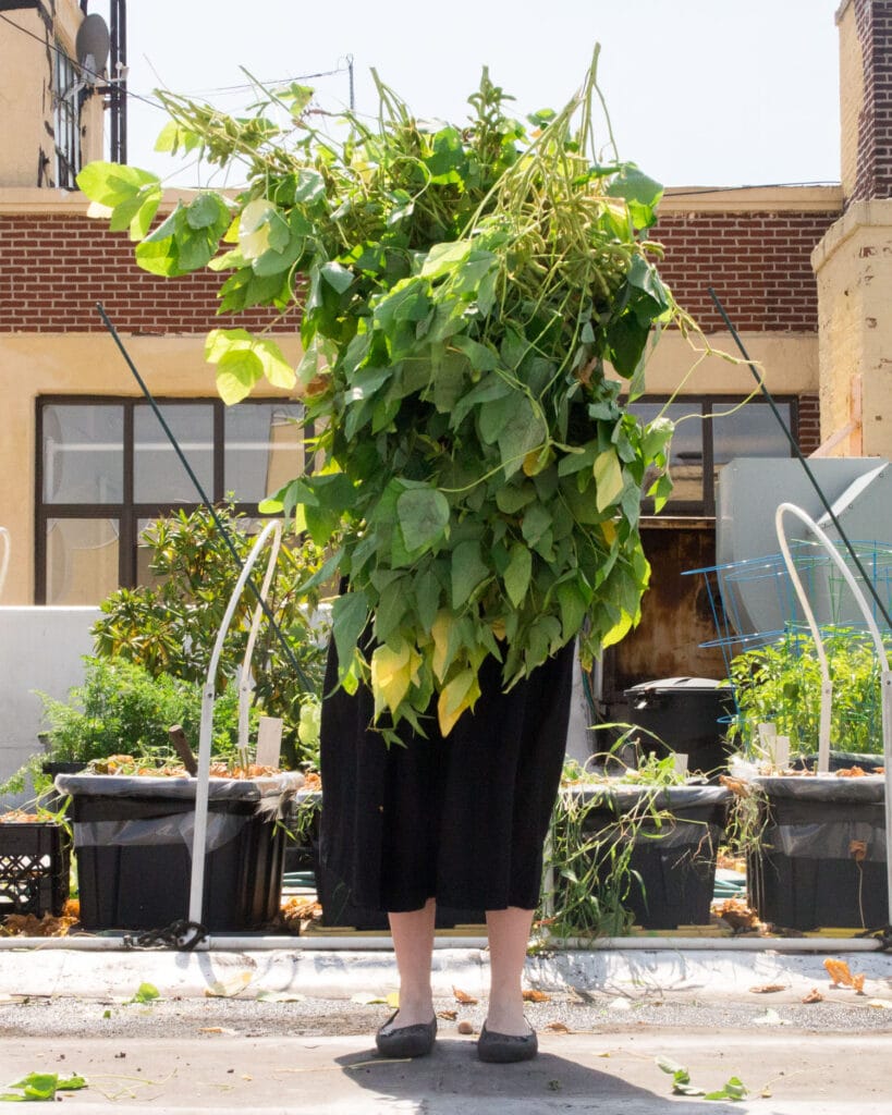 woman holding soybeans in roof garden.