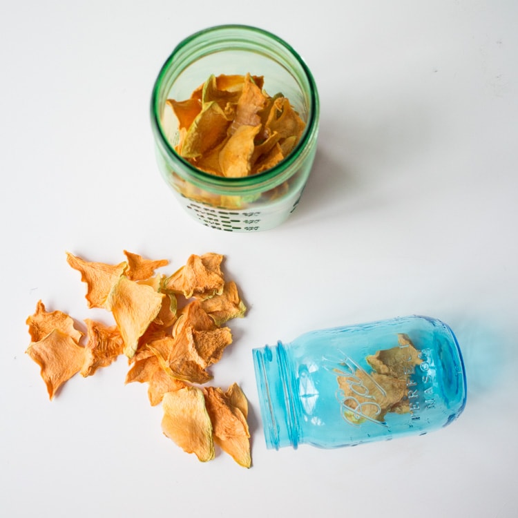 HEALTHY Cantaloupe Chips! This easy recipe shows you how to make cantaloupe chips with a dehydrator! These naturally sweet chips are such a healthy snack! They're one of the best Summer recipes!